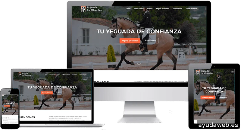DAdisseny | Marketing digital | Diseño web | IA