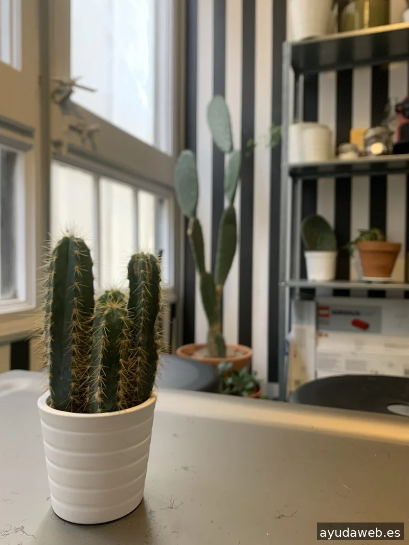 La Machi Comunicación para Buenas Causas