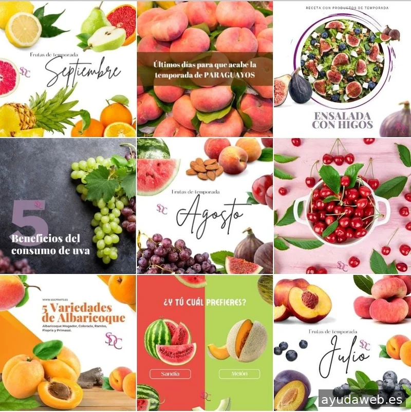 GNC WEB