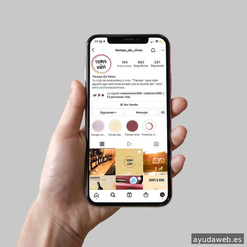 Mano Estudio - Agencia de Marketing Digital en León