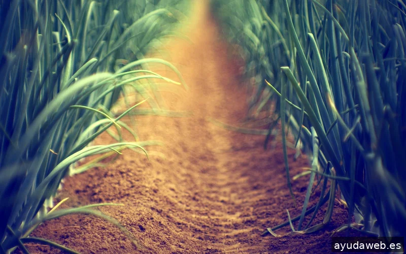 HEARTBIT VISUAL DESIGN, S.L.