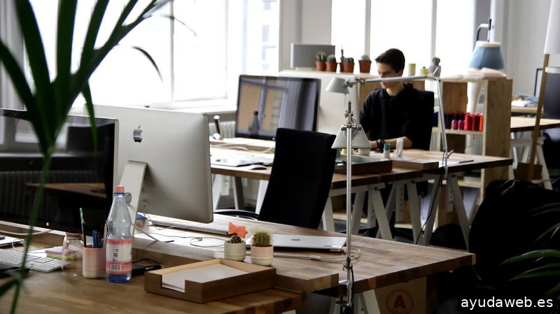 Posicionamiento Web SeonLink