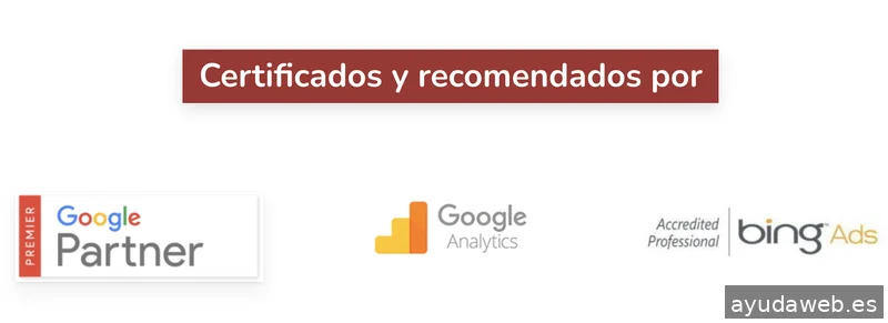 Don Wilson Marketing Fuerteventura