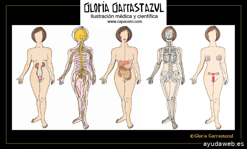 Gloria Garrastazul Diseño Gráfico e Ilustración