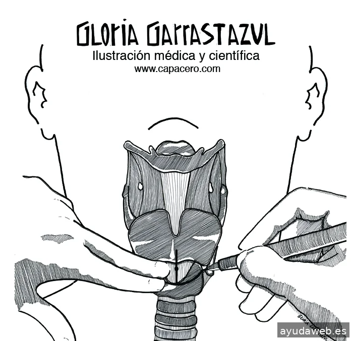 Gloria Garrastazul Diseño Gráfico e Ilustración