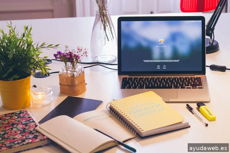 Alola Media | Marketing Digital