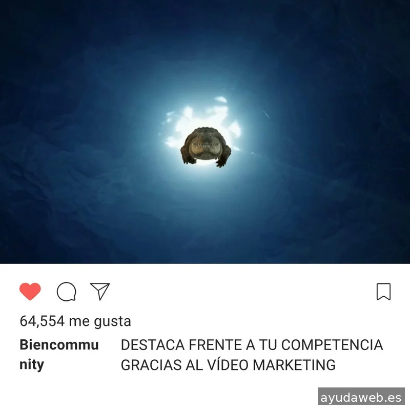 Biencommunity