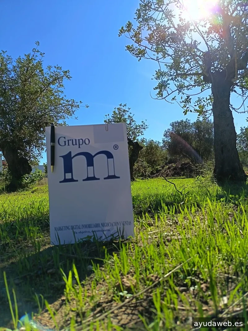 Grupo M Martín y Manuel