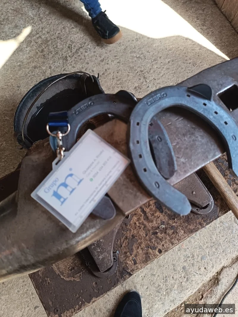 Grupo M Martín y Manuel