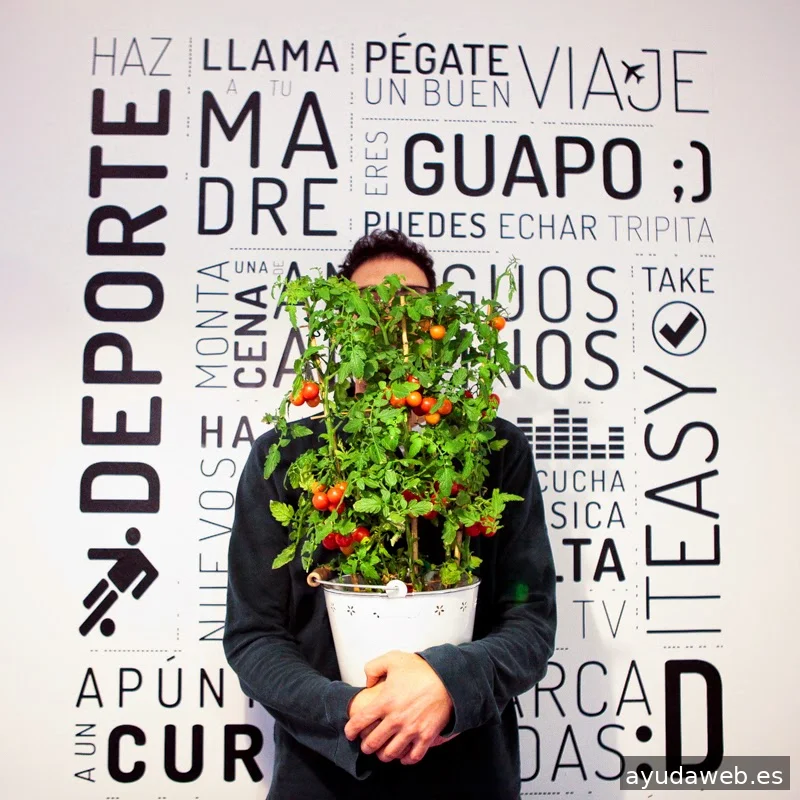 Frucomedia