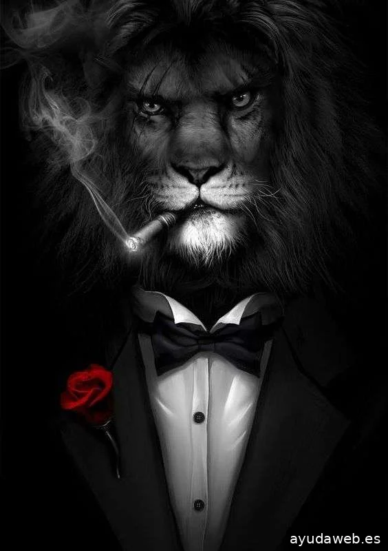 Agencia de Marketing - GF Publicidad