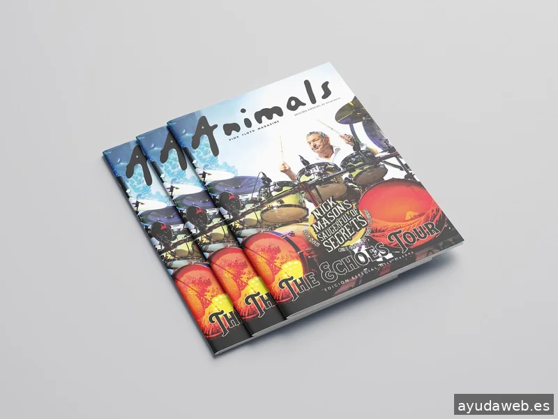 asiertxosololaama!!! Diseño Gráfico & Comunicación