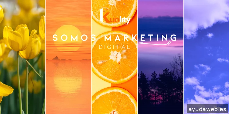 Kuolity Marketing Digital