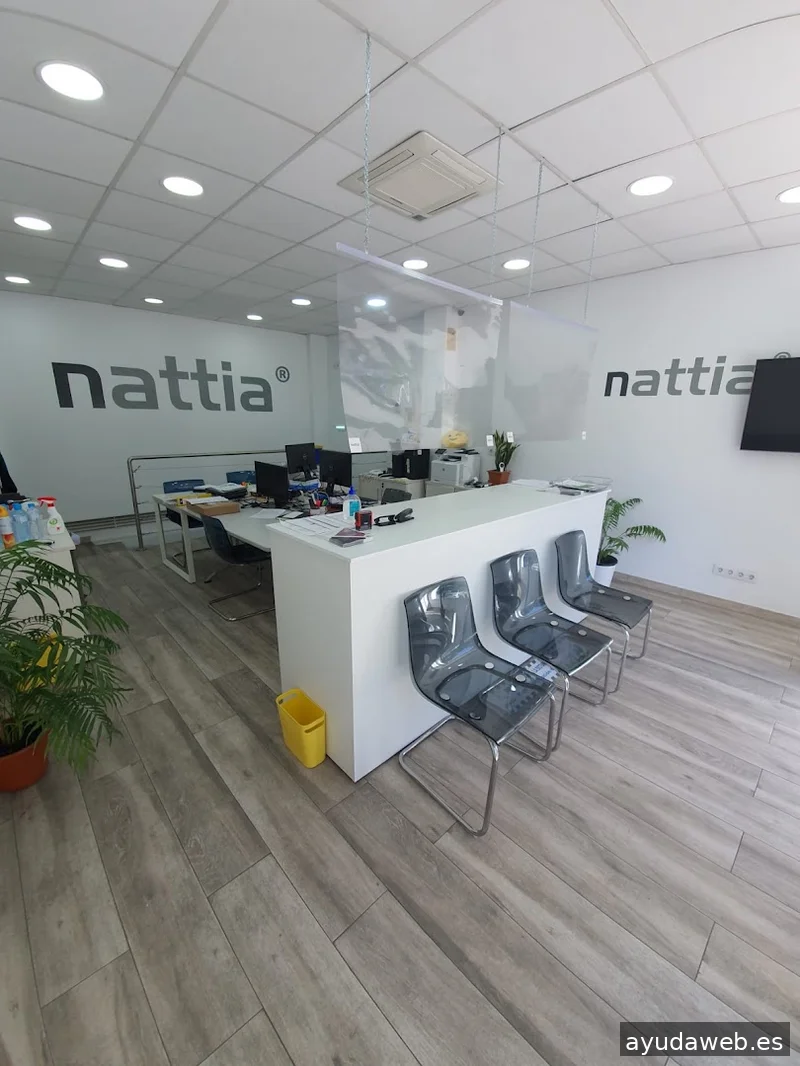 NATTIA Consultoría Informática