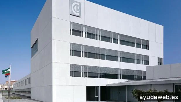 Plestia Marketing digital estetica en Granada