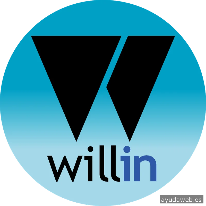 WILLIN AGENCY
