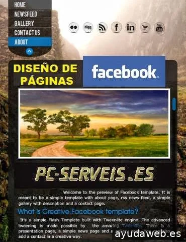 WebArt.es, Presupuesto y Diseño Web