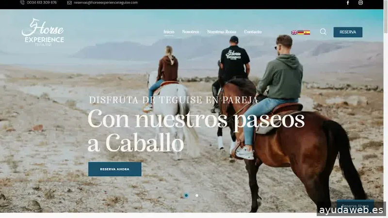 AM Agencia | Diseño Gráfico | Diseño Web