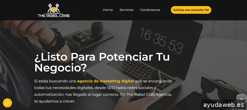 The Rebel Crab - Marketing y Automatización digital