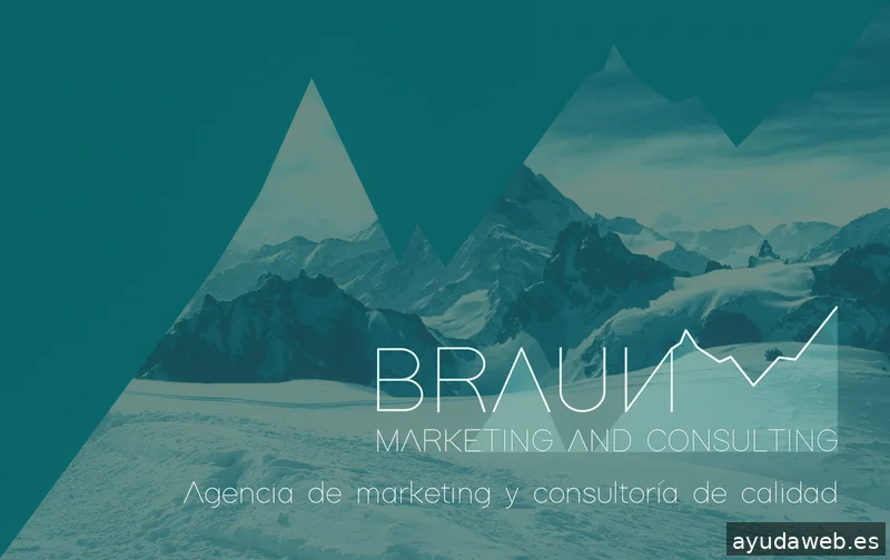 Braun Marketing & Consulting