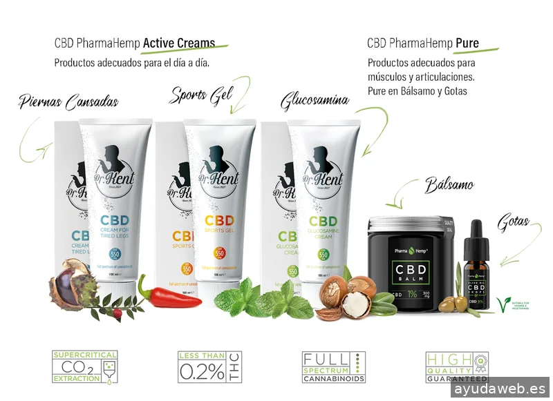 Exprime Creatividad | Estudio Diseño WEB & marketing digital
