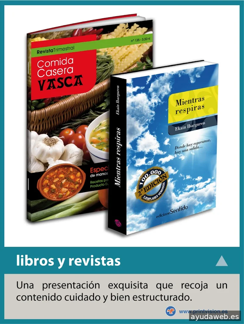 Imprenta Printvisión