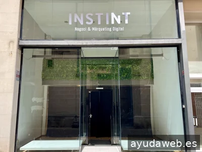 INSTINT: disseny web i màrqueting digital