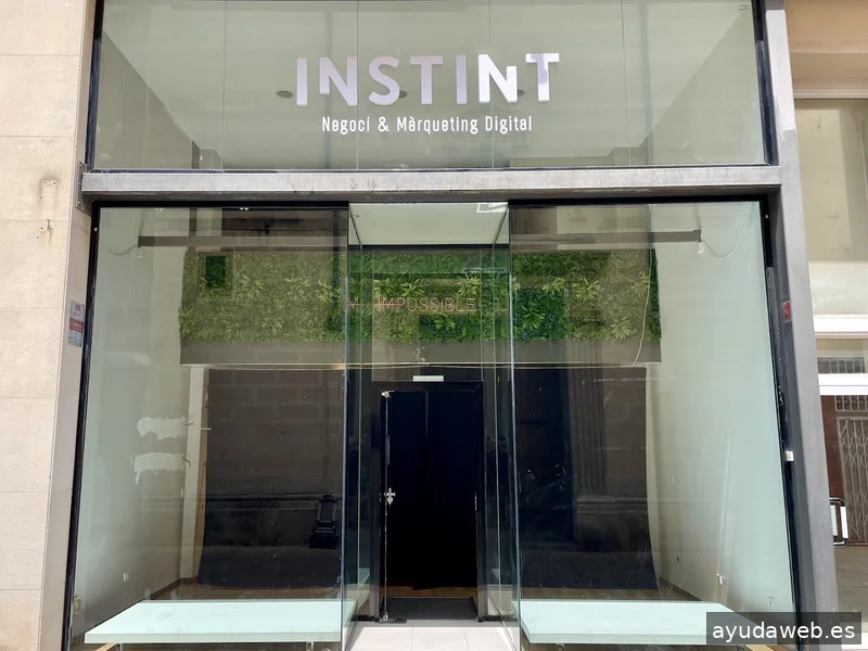 INSTINT: disseny web i màrqueting digital