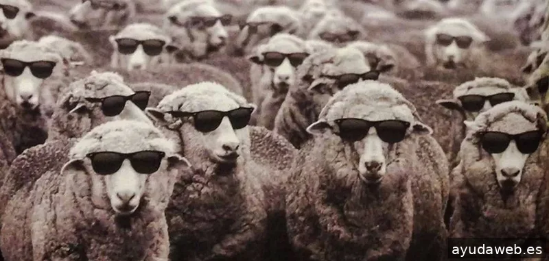 Karisma Ideas y Comunicación S.L.