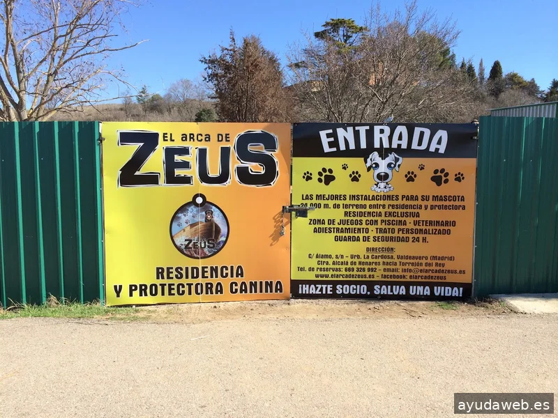 FLASHBACK Estudio Creativo