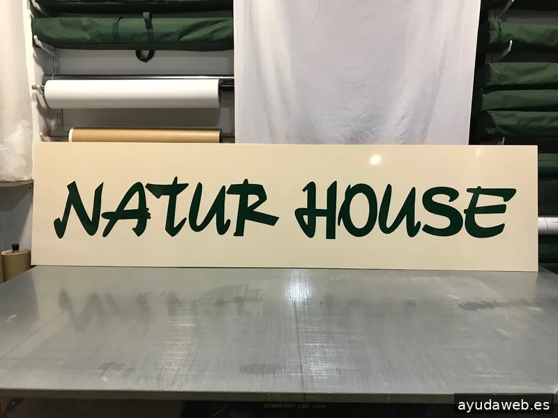 FLASHBACK Estudio Creativo