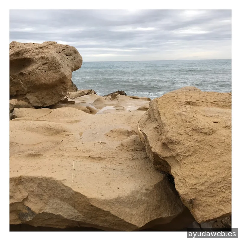 FLASHBACK Estudio Creativo