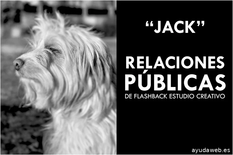 FLASHBACK Estudio Creativo