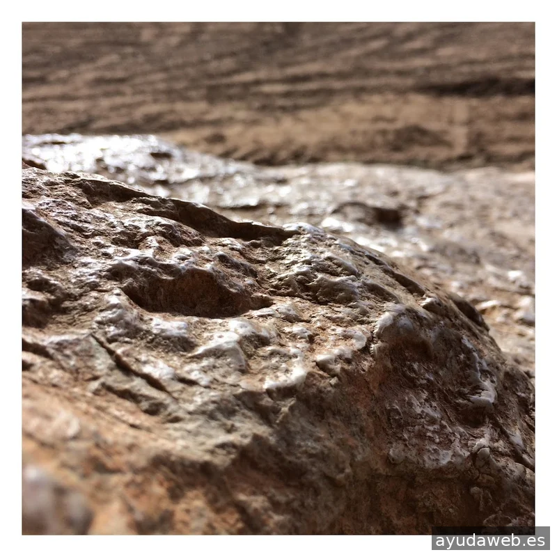 FLASHBACK Estudio Creativo