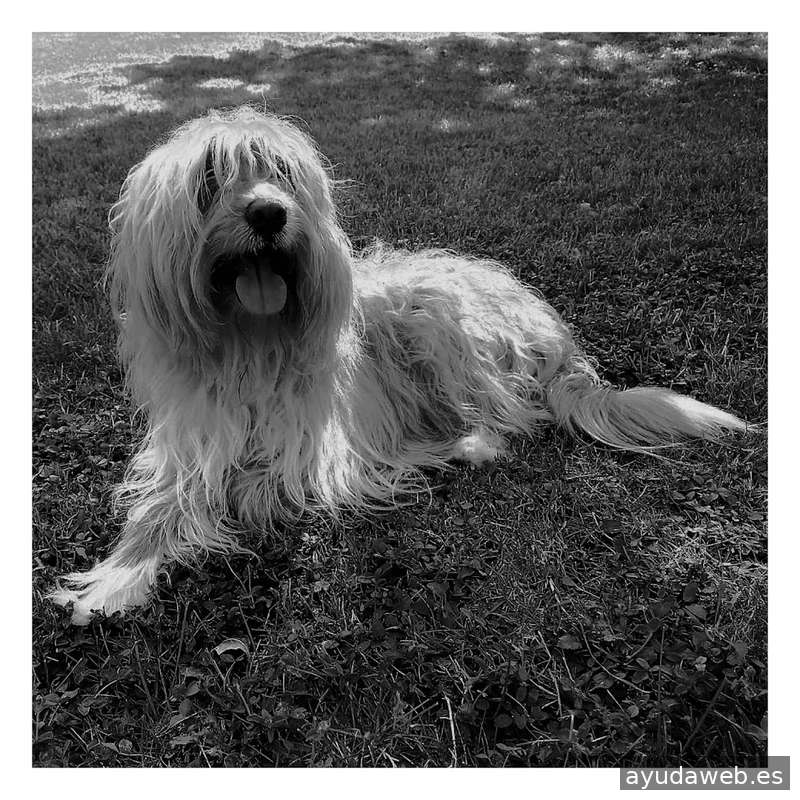 FLASHBACK Estudio Creativo