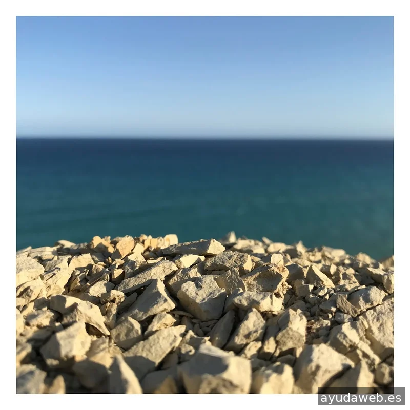 FLASHBACK Estudio Creativo