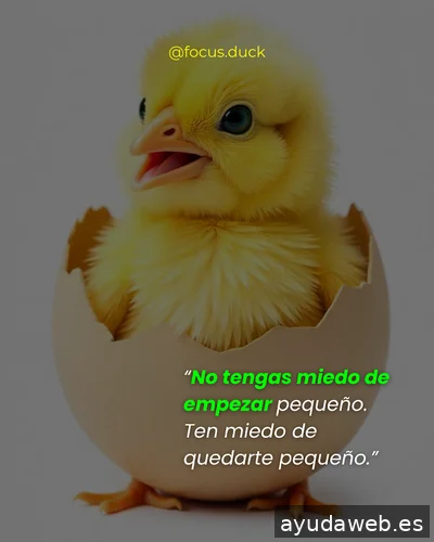 Focus Duck | Agencia de Marketing Digital