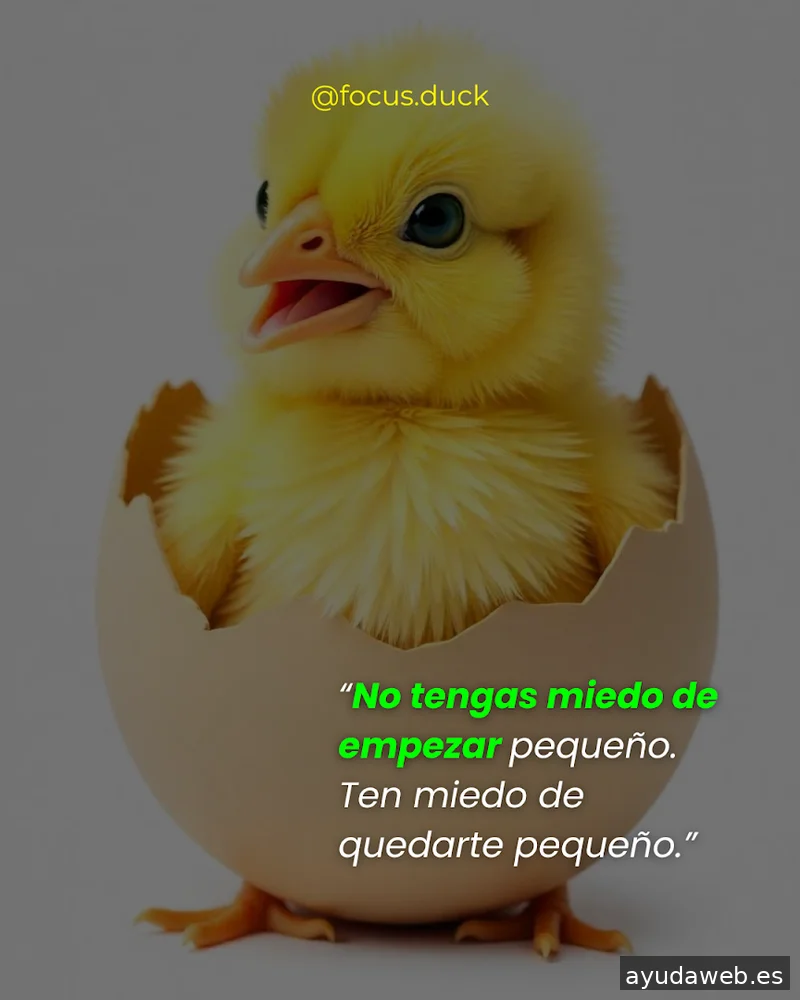 Focus Duck | Agencia de Marketing Digital