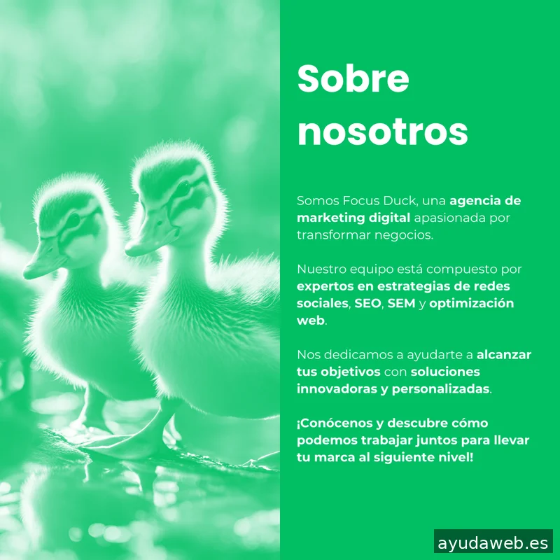 Focus Duck | Agencia de Marketing Digital