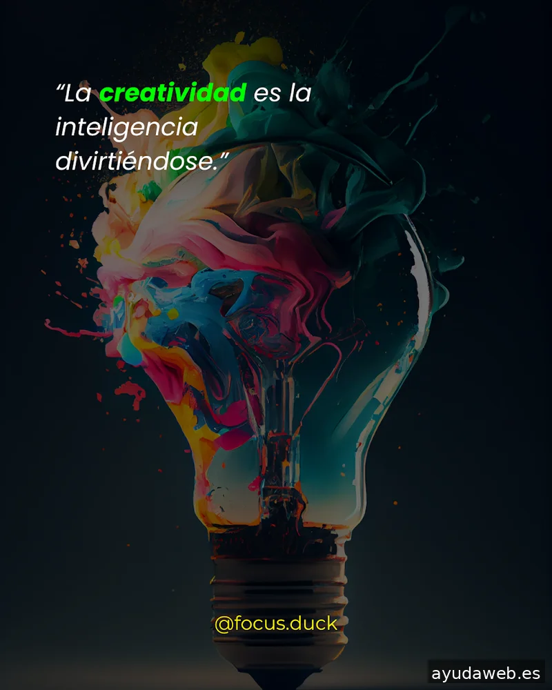 Focus Duck | Agencia de Marketing Digital