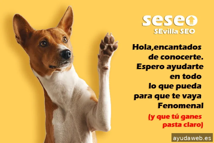 https://seseosevilla.es/