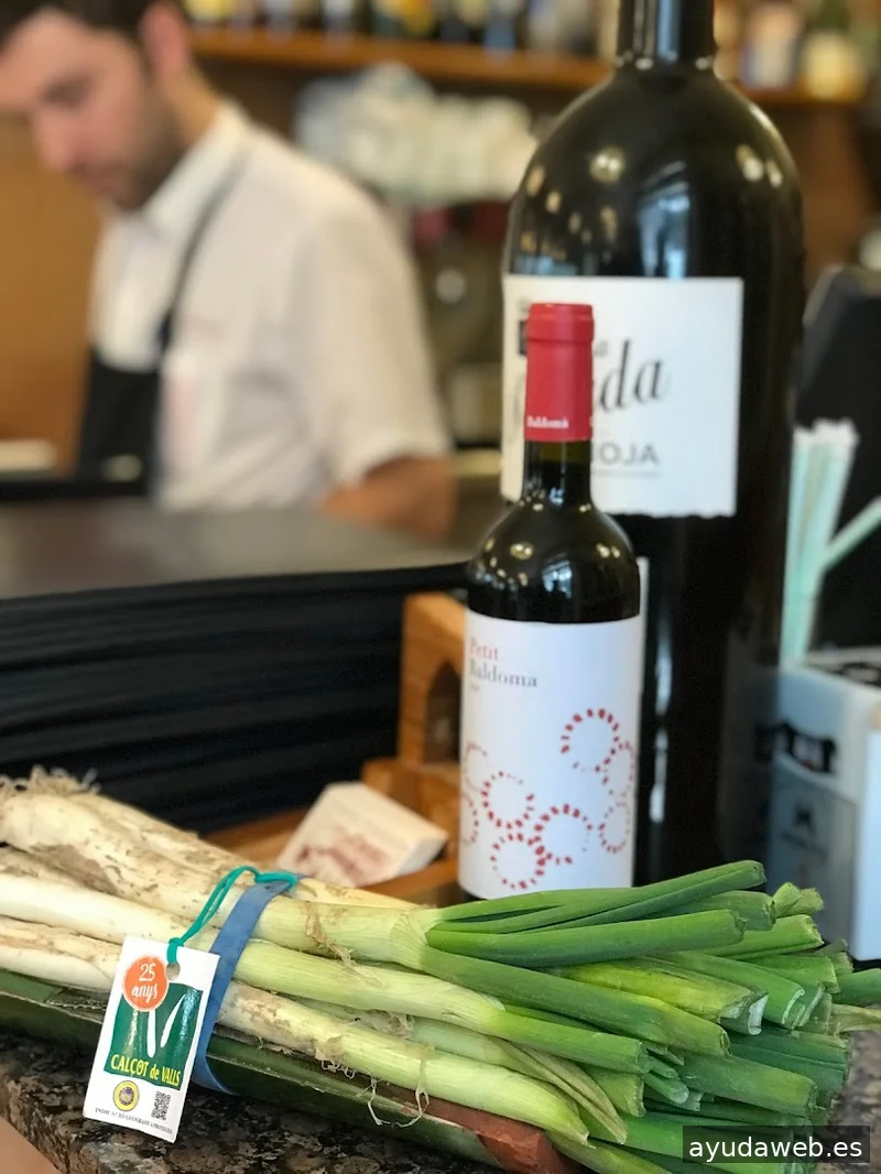 MESPLANS Agency: Serveis Integrals de Comunicació, Publicitat, Disseny i Marketing Digital