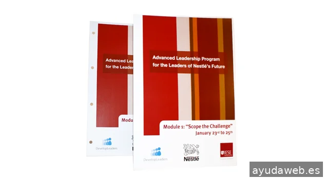 MESPLANS Agency: Serveis Integrals de Comunicació, Publicitat, Disseny i Marketing Digital