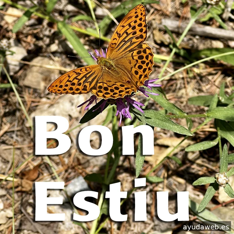 MESPLANS Agency: Serveis Integrals de Comunicació, Publicitat, Disseny i Marketing Digital