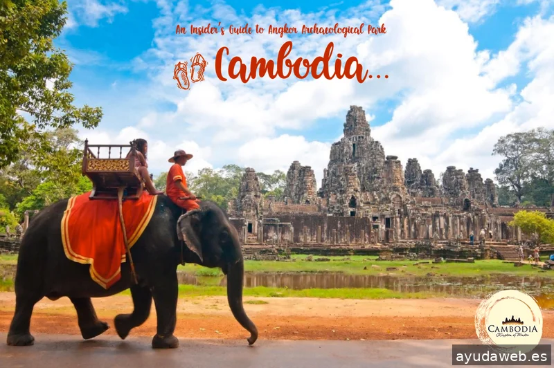 MESPLANS Agency: Serveis Integrals de Comunicació, Publicitat, Disseny i Marketing Digital