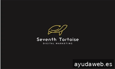 Seventh Tortoise / Agencia de Marketing Digital en Madrid