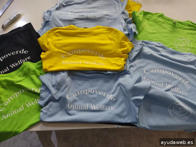 CyberPrint Torrevieja