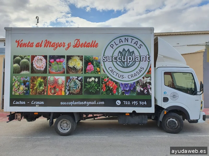 CyberPrint Torrevieja