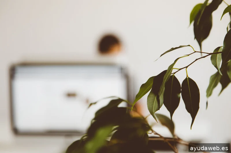 control Z - comunicació