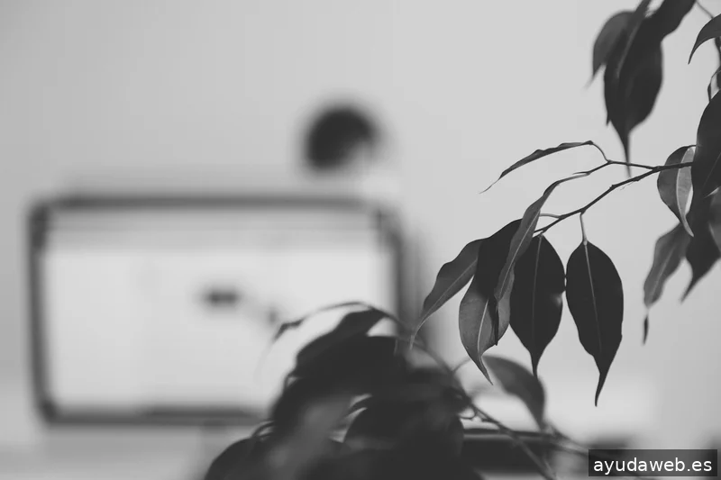 control Z - comunicació